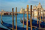 Gondolas at moorings, with Santa Maria della Salute church in the background, Venice, UNESCO World Heritage Site, Veneto, Italy, Europe