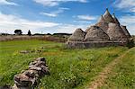 Traditional trullos (trulli) in the countryside near Alberobello, Puglia, Italy, Europe