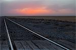 Rail crossing and tracks, Oklahoma, USA