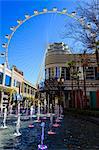 High Roller Observation Wheel, the world's largest, and fountains, LINQ development, Las Vegas, Nevada, United States of America, North America