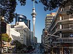 Sky Tower from Victoria Street East, Auckland, North Island, New Zealand, Pacific