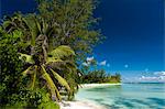 Denis Island, Seychelles, Indian Ocean, Africa