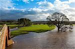 Floodwaters, Lazonby Bridge, River Eden, Eden Valley, Cumbria, England, United Kingdom, Europe