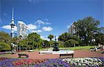 View of Sky Tower from Albert Park, Auckland, North Island, New Zealand, Pacific