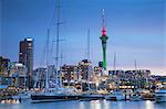 Viaduct Harbour and Sky Tower at dusk, Auckland, North Island, New Zealand, Pacific