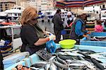 Fish Market, Vieux Port (Old Port), Harbor, Marseille, Bouches du Rhone, Provence Alpes Cote d Azur, Provence, France, Europe