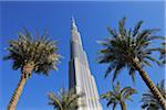 Looking up at Palm Trees and Burj Khalifa, Dubai, United Arab Emirates