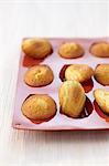 Madeleines