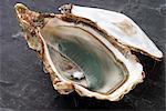 Open oyster