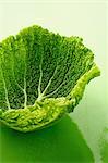 Curly cabbage leaf