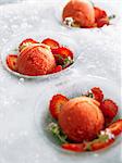 Gariguette strawberry sorbet