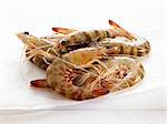 Raw king shrimps