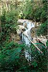 Robinson Falls, Tanah Rata, Cameron Highlands, Pahang, Malaysia