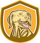 Illustration of a labrador dog head with tongue out viewed from the front set inside crest shield on isolated background done in woodcut style.