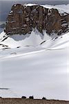 Snowy plateau and three backpack. Turkey, Central Taurus Mountains, Aladaglar (Anti Taurus), plateau Edigel (Yedi Goller)