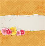 Orange vector vintage background with flowers and torn paper