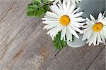 Daisy camomile flowers on wooden table background with copy space