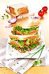 Delicious sandwiches with fresh salad, cheese and ham arranged on wooden table with fresh vegetables and toast bread.