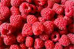 Beautiful Red Summer Background of Ripe Juicy Raspberries