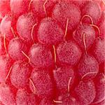 Close-up Background of Ripe Red Juicy Raspberry