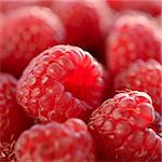 Closeup Image of the Juicy Raspberries. Beautiful Summer Background
