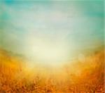 Autumn or summer abstract nature background with blue sky in the back. Summer or autumn sunset