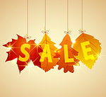 Vector illustration sale tags for autumn season