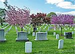 Spring in the Arlington National Cemetery, Arlington Virginia USA