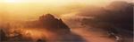 Back lit misty wooded valley at sunrise in summer, Snowdonia National Park, North Wales