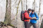 Male backpackers reading map in forest