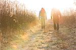 Full length rear view of male hikers walking together in field