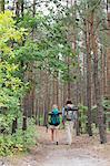 Rear view of hiking couple walking in forest