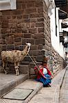 Quechua woman with llama along an Inca wall in San Blas neighborhood, Cuzco, Peru, South America