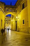 The streets of the historic centre of Valencia, Spain, Europe