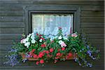 Close-up of Summerhouse Window with Flowers in Early Summer, Bavaria, Germany