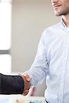 Client shaking hands with businessman