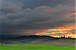 Landscape with Row of Cypress Trees and Farmhouse, Castiglione d'Orcia, Val d'Orcia, Province of Siena, Tuscany, Italy