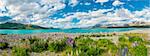 Beautiful incredibly blue lake Tekapo with blooming lupins on the shore and mountains, Southern Alps, on the other side. New Zealand, panoramic photo