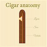 structure of a cigar sectioned to different types of tobacco