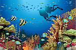 Coral reef with underwater creatures and two scuba divers.