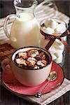 Cup of sweet hot chocolate with marshmallow.