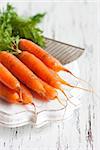 Fresh organic kitchen garden carrots with grater on vintage wooden plate close-up.