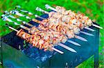 appetizing grilled skewers on the grill
