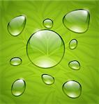 Illustration water drops on fresh green leaves texture - vector