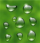 Illustration water drops on fresh green leaf - vector