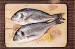 Two fresh gilt head fish with lemon and salt crystals on wooden kitchen board on brown background. Culinary mediterranean seafood concept in natural brown.