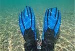 Pair of blue fins on person snorkeling while sitting in shallow tropical lagoon