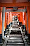 Torii gates forming a tunnel over a hillside walkway donated as votive offerings by the locals at the Fushimi Inari-taisha, an Inari shrine in Kyoto