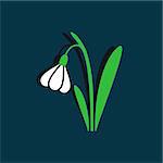 Green and white snowdrop vector illustration on blue