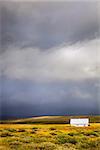 Rainstorm over a farm in Iceland